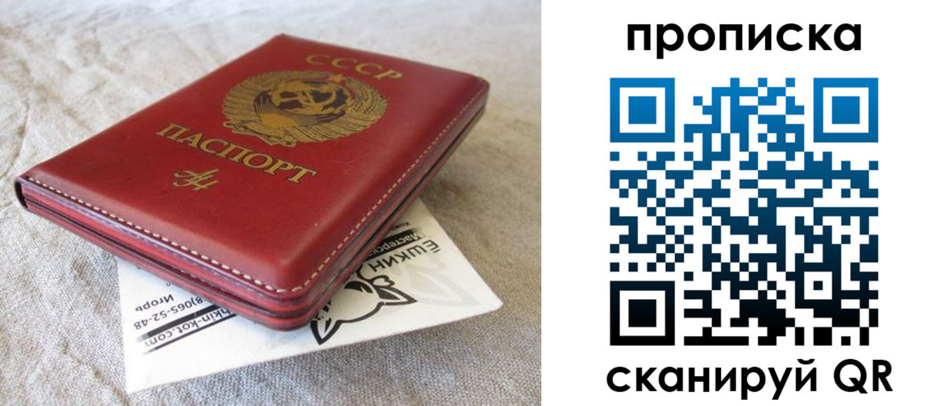прописка для школы в Коркино